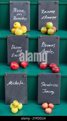 Exposition de plusieurs variétés de pommes (Malus sylvestris) utilisées pour la fabrication du cidre, le jour de la pomme, le Newt, Bruton, Somerset, Royaume-Uni, octobre. Banque D'Images