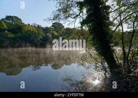 Brume matinale s'élevant des étangs de Cannop au début de l'automne, forêt de Dean, Gloucestershire, Royaume-Uni, octobre 2024. Banque D'Images