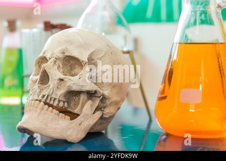 Gros plan d'un modèle de crâne humain sur une table de laboratoire, entouré d'équipements scientifiques, dont des flacons en verre et un microscope. La scène i Banque D'Images