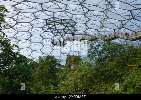 Les gens montent un escalier suspendu vers la plate-forme Rainforest Lookout élevée dans le dôme Rainforest Biome à l'Eden Project, Cornwall, Royaume-Uni, mars. Banque D'Images