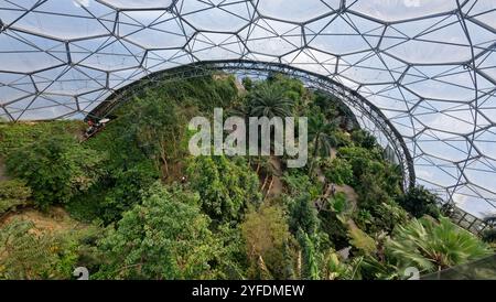 Vue vers le bas depuis la plate-forme Rainforest Lookout dans le dôme Rainforest Biome à l'Eden Project, Cornwall, Royaume-Uni, mars. Banque D'Images