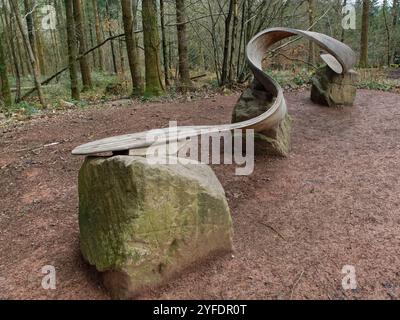 Exposition « Meander » de Kristina Measey au Forest of Dean sculpture Trail, reflétant le débit des rivières locales, Gloucestershire, Royaume-Uni, février 2024. Banque D'Images