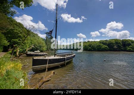 Yacht à voile et petit croiseur à moteur amarré à Gillan Creek, près de Helford, Cornwall, Royaume-Uni, juin. Banque D'Images