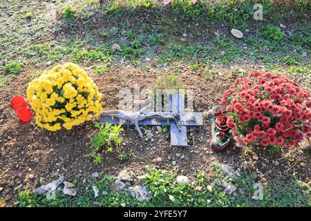 Jour et fête des morts dans le cimetière d'acountry. Cimetière, tombeau, voûte, mémoire du défunt, religion catholique, chrysanthèmes. Nouvelle-Aquitaine, Franc Banque D'Images