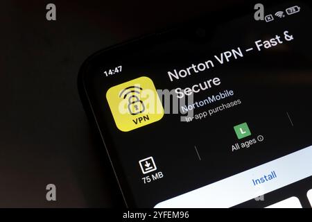 4 novembre 2024, Brésil. Dans cette illustration photo, le logo de l'application Norton VPN – Fast & Secure est affiché sur l'écran d'un smartphone. Banque D'Images