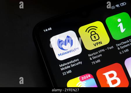 4 novembre 2024, Brésil. Dans cette illustration photo, le logo Malwarebytes, Norton VPN et DevCheck est affiché sur l'écran d'un smartphone. Banque D'Images