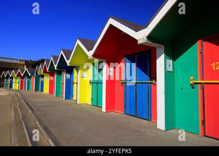 Cabanes de plage en bois peintes multicolores à la station balnéaire de Barry Island, pays de Galles du Sud, Royaume-Uni Banque D'Images