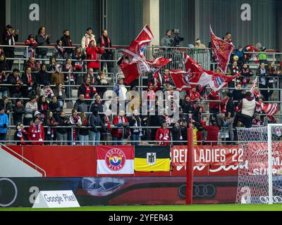 Muenchen, Deutschland. 04th Nov, 2024. Bayernfans hinter einem der Tore. FC Bayern Muenchen Frauen gegen Eintracht Frankfurt, Fussball, Google Pixel Frauen-Bundesliga, 8. Spieltag, saison 2024/2025, 04.11.2024. (LA RÉGLEMENTATION DFB DU DFL INTERDIT TOUTE UTILISATION DE PHOTOGRAPHIES COMME SÉQUENCES D'IMAGES ET/OU QUASI-VIDÉO). Foto : Eibner Pressefoto/Heike Feiner crédit : dpa/Alamy Live News Banque D'Images