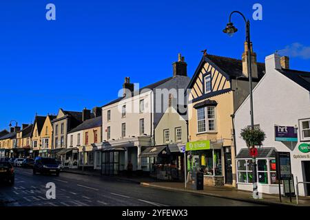 Cowbridge High Street, Vale of Glamorgan, pays de Galles du Sud, Royaume-Uni. Automne novembre 2024 Banque D'Images