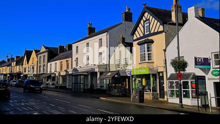 Cowbridge High Street, Vale of Glamorgan, pays de Galles du Sud, Royaume-Uni. Automne novembre 2024 Banque D'Images