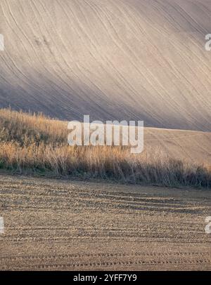 Paysage agricole arable ondulé, photographié en automne en Moravie du sud en République tchèque. La région est connue sous le nom de Toscane morave. Banque D'Images