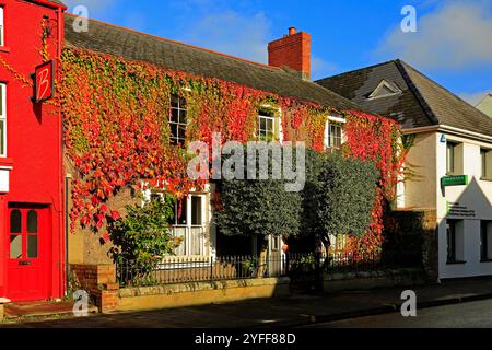 Scène automnale attrayante de la maison avec la crampon de virginie aux couleurs vives de l'automne, Cowbridge, Vale of Glamorgan, pays de Galles du Sud, Royaume-Uni. Novembre 2024 Banque D'Images