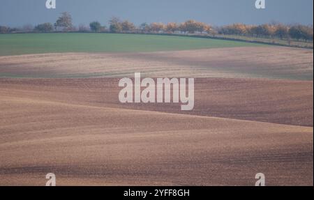 Paysage agricole arable ondulé, photographié en automne en Moravie du sud en République tchèque. La région est connue sous le nom de Toscane morave. Banque D'Images