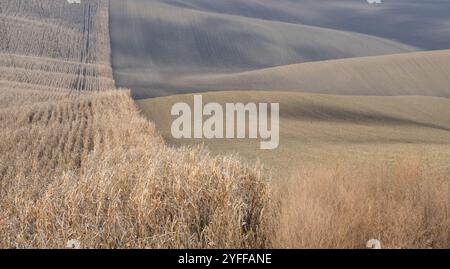 Paysage agricole arable ondulé, photographié en automne en Moravie du sud en République tchèque. La région est connue sous le nom de Toscane morave. Banque D'Images