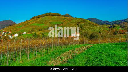 Le magnifique vignoble Schloss Neuweier entre Sinzheim et Buehl. Baden Wuerttemberg, Allemagne, Europe Banque D'Images