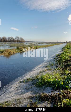 Pâturages inondés, partiellement gelés sur Tealham Moor après une période de fortes pluies, Somerset Levels, Royaume-Uni, janvier 2024. Banque D'Images