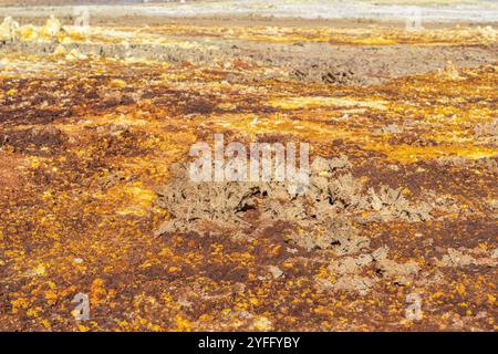 Spings colorés de l'acide à Dallol, dépression de Danakil, Ethiopie Banque D'Images