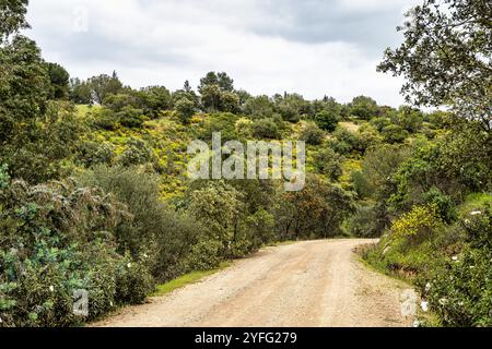 Beau paysage avec des prairies de fleurs sauvages, des rivières et des cascades dans le Parque Natural do Vale do Guadiana, près de Mertola, Portugal, Alentejo Banque D'Images