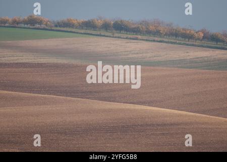 Paysage agricole arable ondulé, photographié en automne en Moravie du sud en République tchèque. La région est connue sous le nom de Toscane morave. Banque D'Images