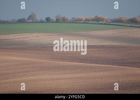 Paysage agricole arable ondulé, photographié en automne en Moravie du sud en République tchèque. La région est connue sous le nom de Toscane morave. Banque D'Images