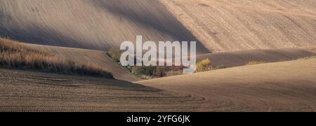 Paysage agricole arable ondulé, photographié en automne en Moravie du sud en République tchèque. La région est connue sous le nom de Toscane morave. Banque D'Images