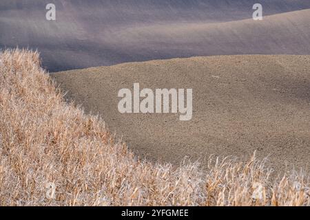 Paysage agricole arable ondulé, photographié en automne en Moravie du sud en République tchèque. La région est connue sous le nom de Toscane morave. Banque D'Images