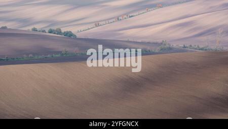 Paysage agricole arable ondulé, photographié en automne en Moravie du sud en République tchèque. La région est connue sous le nom de Toscane morave. Banque D'Images