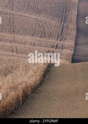 Paysage agricole arable ondulé, photographié en automne en Moravie du sud en République tchèque. La région est connue sous le nom de Toscane morave. Banque D'Images