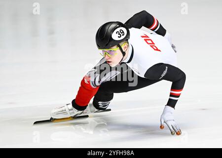 Montréal, Kanada. 01 novembre 2024. MONTRÉAL, QC, Canada - 1er NOVEMBRE : Felix Pigeon (POL) court lors des manches masculines du 1000m au ISU Short Track World Tour 2 le 1er novembre 2024, à l'aréna Maurice-Richard de Montréal, QC, Canada (photo de David Kirouac) crédit : dpa/Alamy Live News Banque D'Images