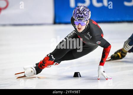 Montréal, Kanada. 01 novembre 2024. MONTRÉAL, QC, Canada - 01 NOVEMBRE : Felix Roussel (CAN) court pendant les manches masculines du 1000m au ISU Short Track World Tour 2 le 1er novembre 2024, à l'aréna Maurice-Richard de Montréal, QC, Canada (photo de David Kirouac) crédit : dpa/Alamy Live News Banque D'Images