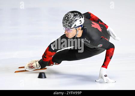 Montréal, Kanada. 01 novembre 2024. MONTRÉAL, QC, Canada - 1er NOVEMBRE : William Dandjinou (CAN) court lors des manches masculines du 500m au ISU Short Track World Tour 2 le 1er novembre 2024, à l'aréna Maurice-Richard de Montréal, QC, Canada (photo de David Kirouac) crédit : dpa/Alamy Live News Banque D'Images