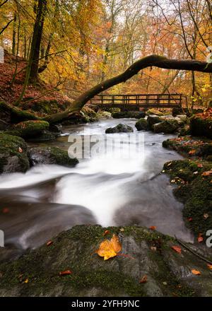 Stockghyll, Ambleside, Lake District National Park, Cumbria, Royaume-Uni. 29 octobre 2024. Photographie de Richard Holmes. Banque D'Images