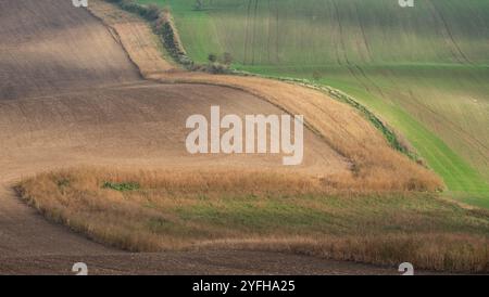 Paysage agricole arable ondulé, photographié en automne en Moravie du sud en République tchèque. La région est connue sous le nom de Toscane morave. Banque D'Images