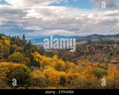 Une vue pittoresque sur les collines et les forêts vallonnées en automne. Le feuillage d'automne vibrant crée une atmosphère enchanteresse sous un ciel nuageux, soulignant Banque D'Images