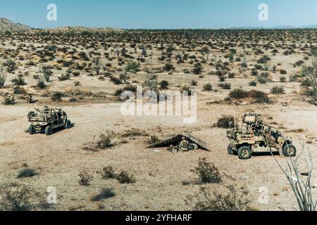 Wellton, Arizona, États-Unis. 10 octobre 2024. Les Marines des États-Unis affectés au 1er escadron d'armes et de tactiques de Marine Aviation et au 3e bataillon de défense aérienne à basse altitude, 3e escadre d'avions de Marine, participent à un exercice de défense aérienne au sol dans le cadre du cours d'instructeur d'armes et de tactiques 1-25 à l'aérodrome de Tacts, près de Wellton, Arizona, 10 octobre 2024. Le WTI est un événement de formation de sept semaines organisé par Marine Aviation Weapons and Tactics Squadron One qui met l'accent sur l'intégration opérationnelle des six fonctions de l'aviation maritime à l'appui de la Marine Air Ground Task Force, des forces interarmées et de la Coalition. Banque D'Images