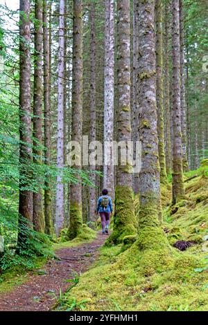 Randonnée dans la forêt à côté de l'Allt na Calliche à Invergarry Banque D'Images