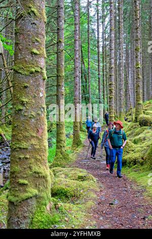 Randonnée dans la forêt à côté de l'Allt na Calliche à Invergarry Banque D'Images