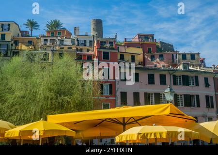 Maisons au-dessus du port de pêche dans le village de Vernazza, Cinque Terre, province de la Spezia, partie de la région de Ligurie, Italie du Nord. Banque D'Images