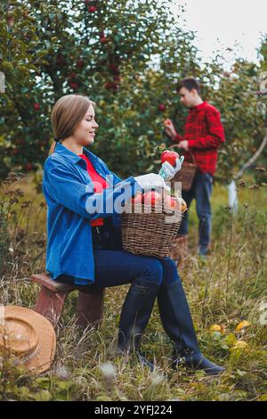 Une femme et un homme travaillent dans un verger de pommiers, elle cueille des pommes, il tient une boîte. Les jeunes récoltent des pommes, heureux d'avoir une récolte riche. Apple Banque D'Images