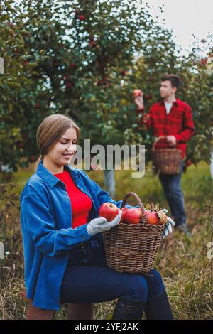 Une femme et un homme travaillent dans un verger de pommiers, elle cueille des pommes, il tient une boîte. Les jeunes récoltent des pommes, heureux d'avoir une récolte riche. Apple Banque D'Images