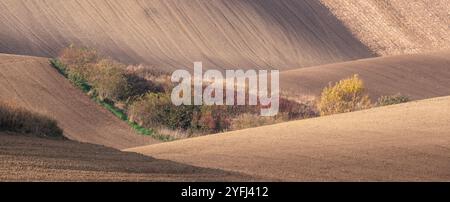 Paysage agricole arable ondulé, photographié en automne en Moravie du sud en République tchèque. La région est connue sous le nom de Toscane morave. Banque D'Images