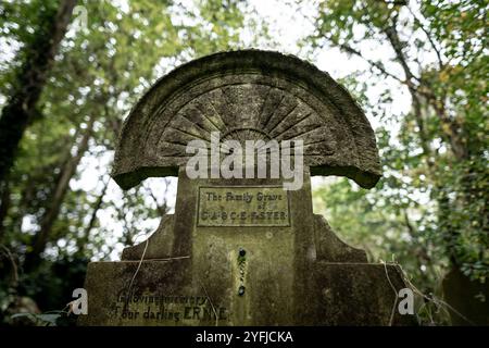 Le cimetière d'Abney Park est l'un des « sept magnifiques » cimetières de Londres, en Angleterre. Banque D'Images