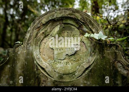 Le cimetière d'Abney Park est l'un des « sept magnifiques » cimetières de Londres, en Angleterre. Banque D'Images