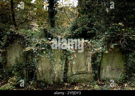 Le cimetière d'Abney Park est l'un des « sept magnifiques » cimetières de Londres, en Angleterre. Banque D'Images