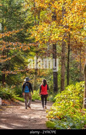 Couple profitant d'une promenade le long d'un chemin boisé sous le feuillage d'automne coloré à Gibbs Gardens à Ball Ground, Géorgie. (ÉTATS-UNIS) Banque D'Images