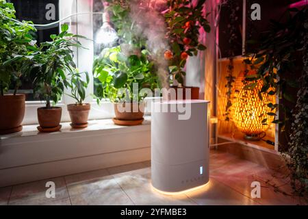 Humidificateur d'air sur le sol à la maison, vapeur illuminée par la lumière de culture, plantes en pot sur le rebord de la fenêtre Banque D'Images