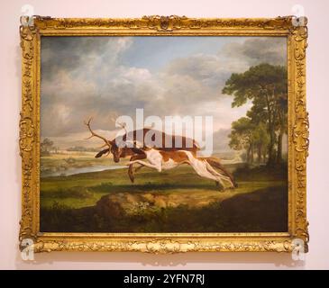 Hound coursing A Stag Painting de George Stubbs. Un chien chasse un cerf, hurle, tue. Au Philadelphia Museum of Art en Pennsylvanie. Banque D'Images