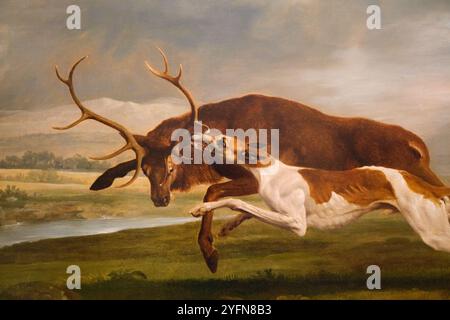 Hound coursing A Stag Painting de George Stubbs. Un chien chasse un cerf, hurle, tue. Au Philadelphia Museum of Art en Pennsylvanie. Banque D'Images