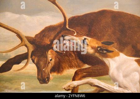 Hound coursing A Stag Painting de George Stubbs. Un chien chasse un cerf, hurle, tue. Au Philadelphia Museum of Art en Pennsylvanie. Banque D'Images