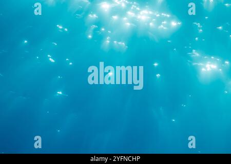 Fin d'après-midi lumière du soleil coulant à travers la surface de l'océan Pacifique. Banque D'Images